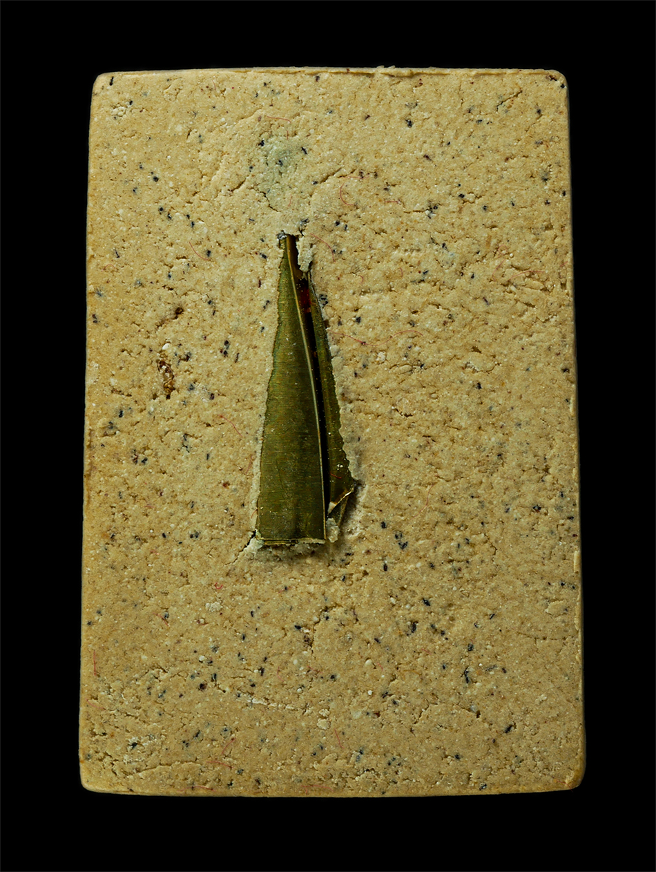 16Sep25 (80)ap.jpg - พระสมเด็จครูบาเจ้าศิวะนาท ฐานงกโร(หลวงพ่อเสือ) รุ่นสร้างศาลาปฏิบัติธรรมพุทธมงคล เนื้อผงพุทธคุณ ผงว่าน ฝังตะกรุดสาริกา พร้อมกล่องเดิมๆ | https://kamulet.in.th